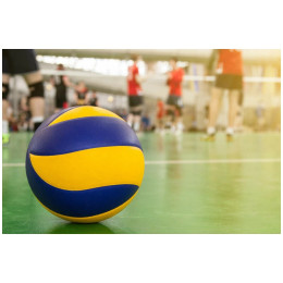 Мяч волейбольный Mikasa V330W FIVB