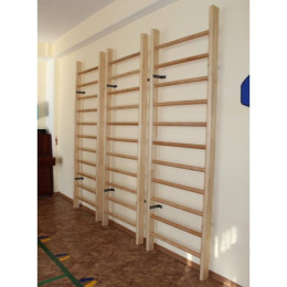 Спортивная стенка 2х0,8м 